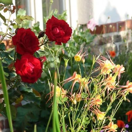 בית הארחה Landhaus Ribbeck 3*