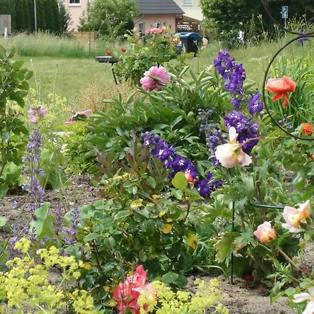 בית הארחה Landhaus Ribbeck