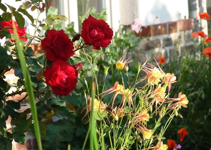 بيت ضيافة Landhaus Ribbeck 3*