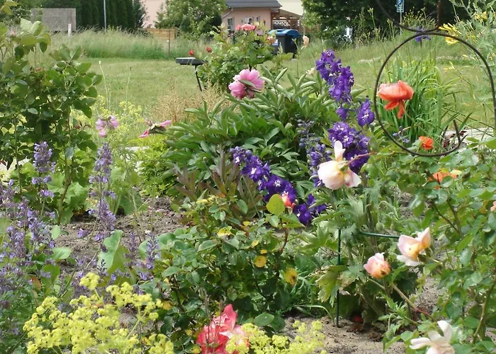 بيت ضيافة Landhaus Ribbeck